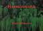 Ingrid Ramsauer: Harmonismus. Oelgemälde
