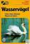 Wasservögel