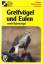 gebrauchtes Buch – Unbekannt – Greifvögel und Eulen - Drei punkt Buch - finden - bestimmen - kennen – Bild 1