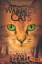 Erin Hunter: Warrior Cats Die neue Proph