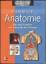 Speckmann/Wittowski: Handbuch Anatomie -