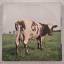 Pink Floyd: Atom Heart Mother [Vinyl, 12