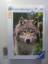 Ravensburger 14354: Wolfsportrait [500 T