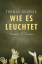 Brussig Thomas: Wie es leuchtet: Roman