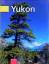 Theo Allofs: Yukon