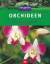 Jörn Pinske: Orchideen