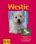 Ingrid Bolle-Kleinbub: Westie: Quirliger