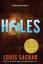 Louis Sachar: Holes