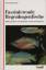 Faszinierende Regenbogenfische : Brillant gefärbte Schwarmfische in Natur und Aquarium; mit Farbabbildungen - Allen, Gerald R.