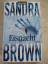 Sandra Brown: Eisnacht