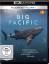 Big Pacific (4 Episoden plus Making of i