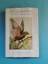 Pérrine Moncrieff: New Zealand Birds and