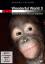 BBC-Serie: Wonderful World 3: Vom Orang BBC-Serie: Wonderful World 3: Vom Orang