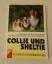 29- Collie und Sheltie - Expertenrat für