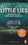 Megan Miranda: LITTLE LIES – Wer einmal 