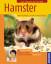 Angela Beck: Hamster: Halten & pflegen, 