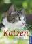 Denise Seidl: Katzen richtig halten und 