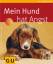 Mack, Anja und Kirsten Wolf: Mein Hund h