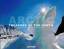 gebrauchtes Buch – Henningsen, Thomas and Bernd Rommelt – Arctic: Treasure of the North – Bild 1