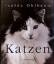 Isolde Ohlbaum: Katzen