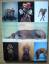 William Wegman: Meine Geschichte mit Fay