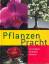 Pinske, Jörn -: Pflanzen Pracht : Orchid