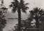Postkarte: Italien - Lago Maggiore - Iso