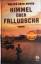 Myers, Walter Dean: Himmel über Falludsc