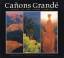 Lynn Wilson: Canons Grande: Visions of t