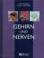 Adriane Andreas: Gehirn und Nerven Unser