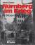 Robert Fritzsch: Nürnberg im Krieg