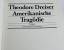 gebrauchtes Buch – Theodore Dreiser – Eine amerikanische Tragödie. OHNE Schutzumschlag – Bild 3