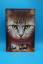 Erin Hunter: Warrior Cats - Die Macht de