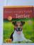 Karin Wegner: Parson und Jack Russell Te