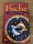 Michel, P; Wagner, A: Fische - 20. Febru