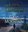 John Grisham: Gray Mountain