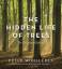 Peter Wohlleben: The Hidden Life of Tree