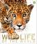 DK: Wildlife of the World (DK Wonders of