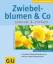 Zwiebelblumen &amp, Co. : schnell &amp, 