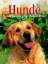 BUCH - Schmidt, Iris [Red.]: Hunde : Hal