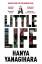 Hanya Yanagihara: A Little Life: The Mil