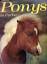 Anne Alcock: Ponys in Farbe