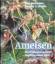 Bert Hölldobler; Edward O. Wilson: Ameis