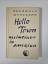 antiquarisches Buch – Sherwood Anderson – Hello Town, Kleinstadt in Amerika – Bild 2