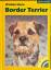 Wiebke Steen: Border Terrier