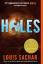 Louis Sachar: Holes