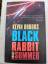 Kevin Brooks: Black Rabbit Summer