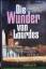 Alfred Läpple: Die Wunder von Lourdes. B