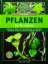 Beat Akeret: Pflanzen im Terrarium - Anl