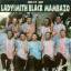 Ladysmith Black Mambazo: Best Of Ladysmi